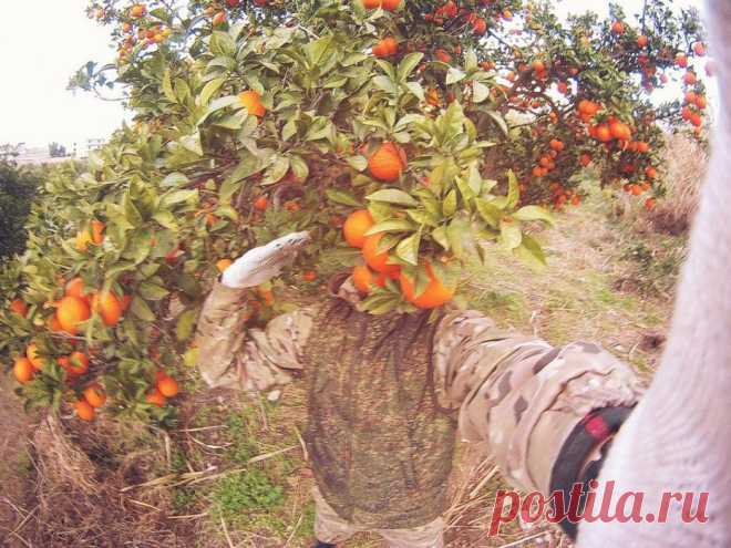 Боевые действия в Сирии
Наши в Сирии. От Латакии до Пальмиры...﻿