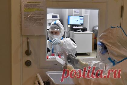 В России появилась поражающая зрение после COVID-19 «черная плесень». Врач-рентгенолог, кандидат медицинских наук и руководитель отдела лучевой диагностики в Ильинской больнице в Подмосковье Павел Попов предупредил о появлении в России случаев нового последствия коронавируса — мукормикоза, или «черной плесени». Это болезнь, из-за которой переболевшие COVID-19 в Индии лишались зрения.