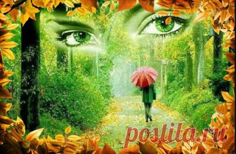 Заговор от самосглаза - Сонники, гороскопы, гадания - медиаплатформа МирТесен Сглазом можно назвать самое безобидное с точки зрения черной магии воздействие на человека. Сглаз может быть и случайным, если вы оказались не в то время не в том месте, и специальным, направленным на разрушение вашего биополя. Как правило, сглаз — это неоформленное негативное воздействие,