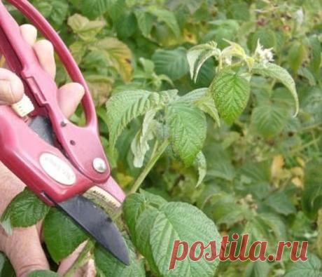 (90) Одноклассники