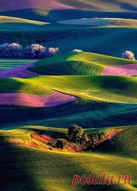 Eli 👍🌷🌺🌻🌼🍒 (@ebendavid5) / Twitter