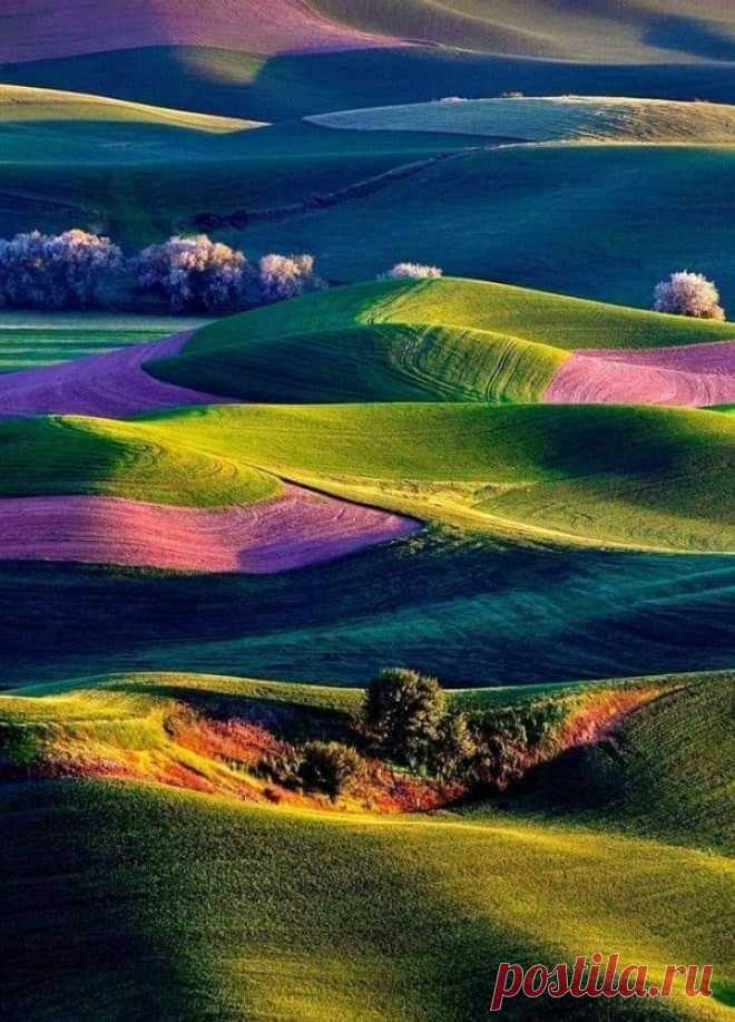 Eli 👍🌷🌺🌻🌼🍒 (@ebendavid5) / Twitter