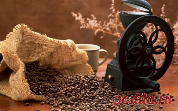 http://dom-ozhag.mirtesen.ru/blog/43444078210