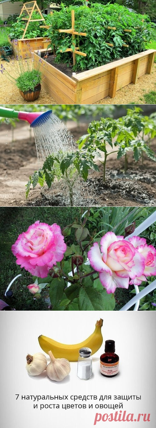 (21) Одноклассники