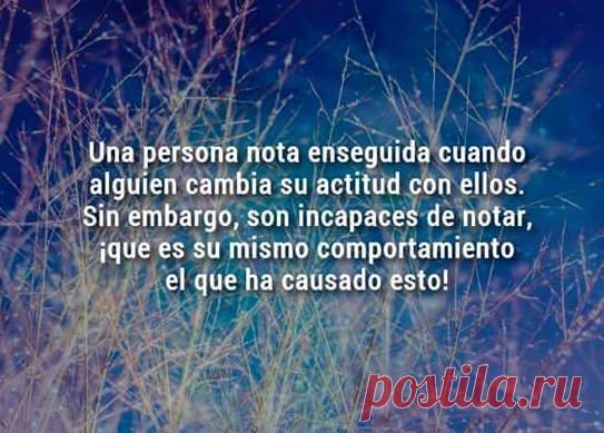Человек сразу же замечает, когда к нему меняется отношение / Изучаем Испанский