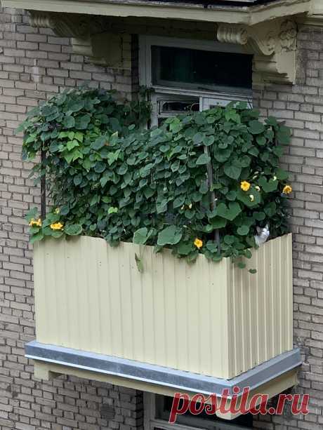 Home / Twitter