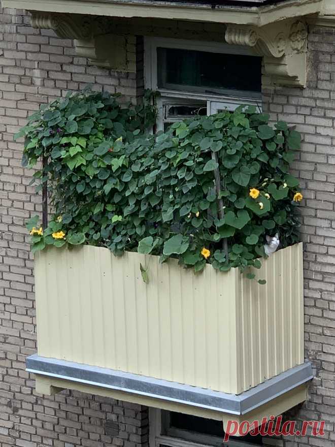 Home / Twitter