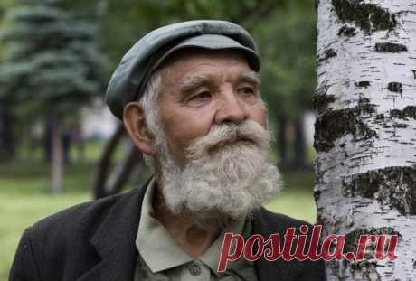 Заповеди  Андрея Ворон 104-летнего мудреца для долгой и радостной жизни Мудрость в каждой строчке!