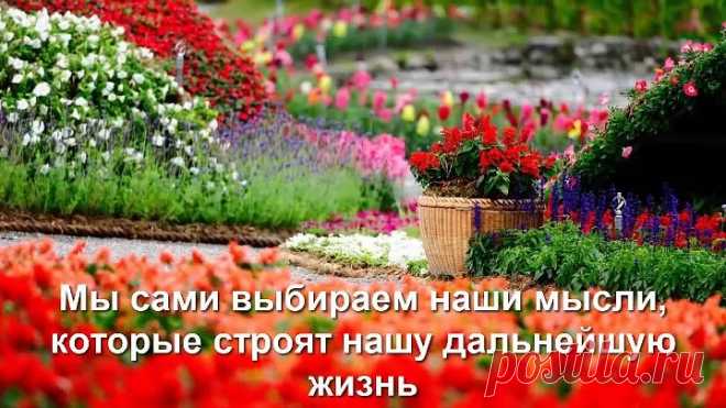 Мудрые мысли о жизни...