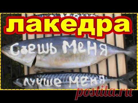 Копчёная ЛАКЕДРА СКУМБРИЯ Как закоптить рыбу быстро просто ! Простой рецепт копчения рыбы ! - YouTube