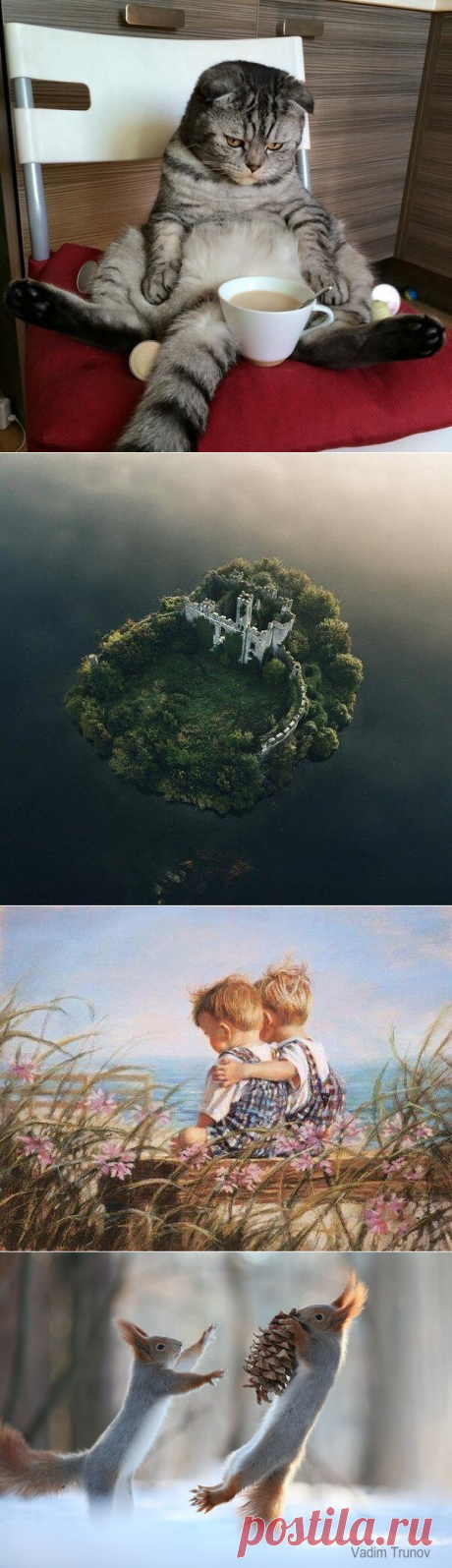 Новости