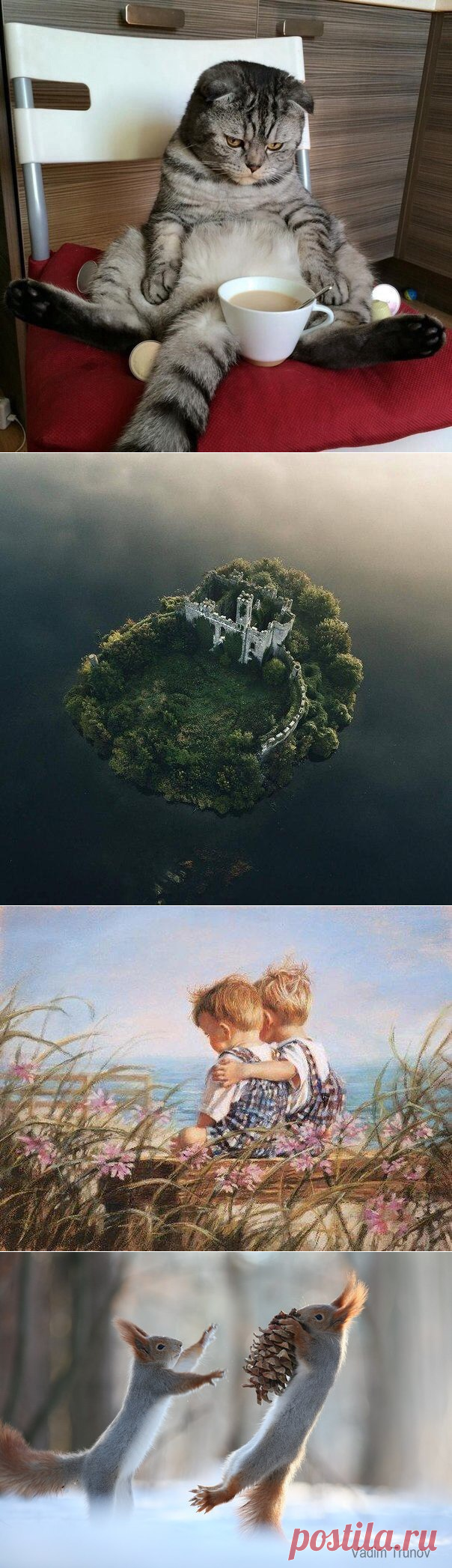 Новости