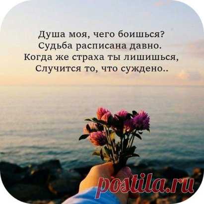 Благословения на этот день ☀
