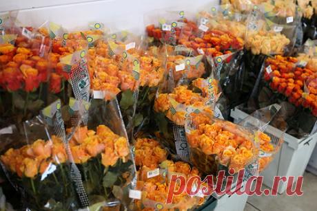 Россиянам рассказали об альтернативе цветам на 8 Марта. Российские сети предупреждают о задержках поставок цветов из других стран из-за ситуации на Украине. В интервью «Ленте.ру» член Совета российской Гильдии маркетологов Николай Григорьев рассказал о популярных подарках к 8 Марта и дал совет, чем порадовать женщин, если не получается приобрести букет.