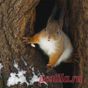 Зачем нужны некоторые детали нашей одежды?