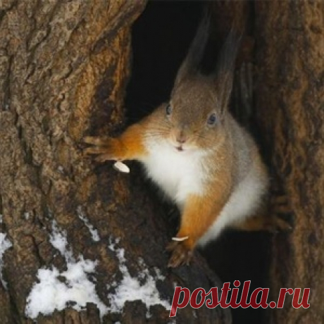 Зачем нужны некоторые детали нашей одежды?