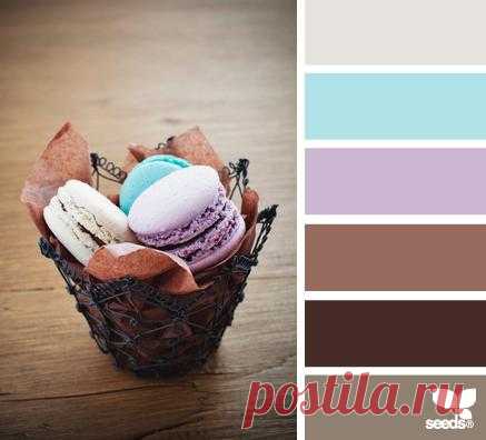 Design Seeds® | find your palette