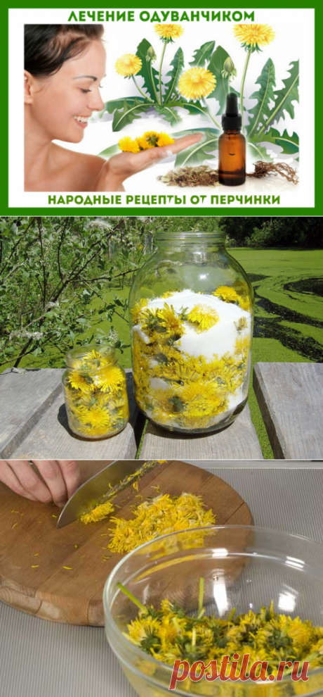Рецепты лечения одуванчиком - Perchinka63