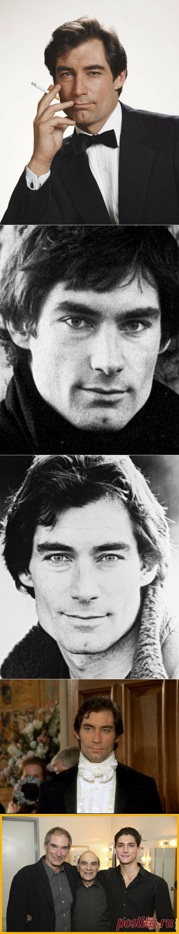 САМЫЕ КРАСИВЫЕ МУЖЧИНЫ ПЛАНЕТЫ – ТИМОТИ ДАЛТОН | Интересуюсь | Яндекс Дзен