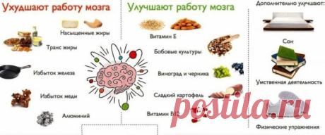 Диета для хорошей концентрации и крепкой памяти.