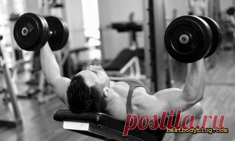 Разведения гантелей лежа. Лекарство от хилой груди | bestbodyblog.com