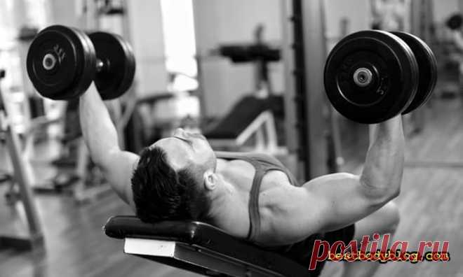 Разведения гантелей лежа. Лекарство от хилой груди | bestbodyblog.com