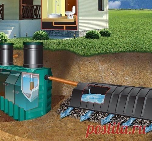 Принцип работы бактерий в септике