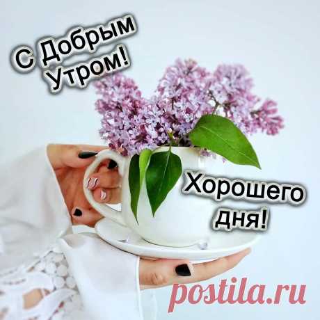 Доброго утра, прекрасного дня!
Не унывай и реальность цени.
Жизнь так прекрасна, и этим живи!
Радость цени каждый миг, каждый час.
Пусть этот мир только радует нас.