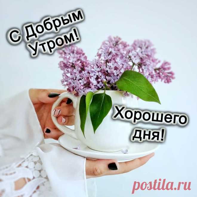 Доброго утра, прекрасного дня!
Не унывай и реальность цени.
Жизнь так прекрасна, и этим живи!
Радость цени каждый миг, каждый час.
Пусть этот мир только радует нас.