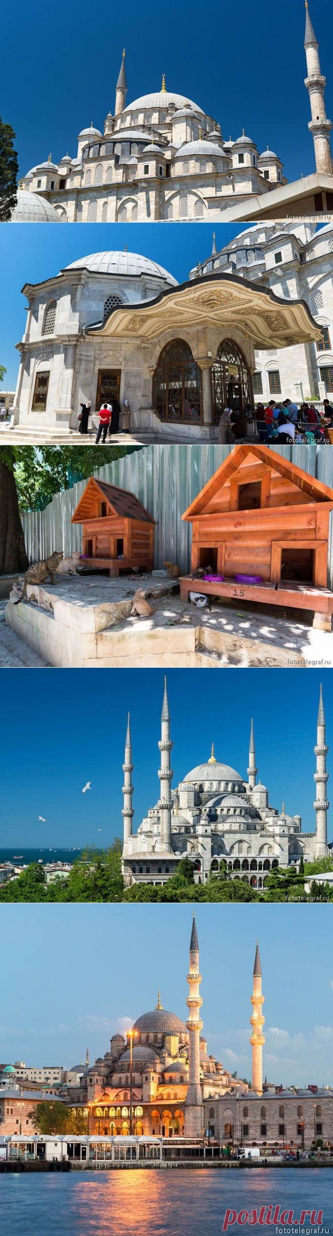 Городские мечети Стамбула / Туристический спутник