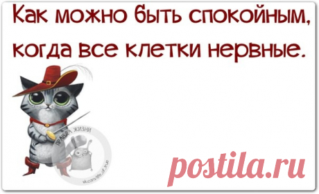 Правда Жизни | Юмор, Мотивация, Сарказм, Цитаты