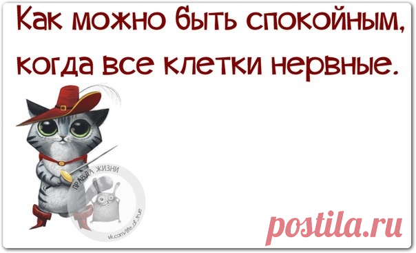Правда Жизни | Юмор, Мотивация, Сарказм, Цитаты
