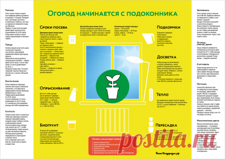 Огород начинатся с подоконника