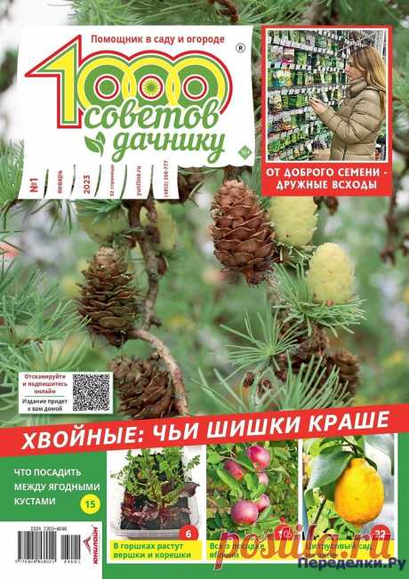1000 советов дачнику №1-2 2023 * Переделки.РуПеределки.Ру