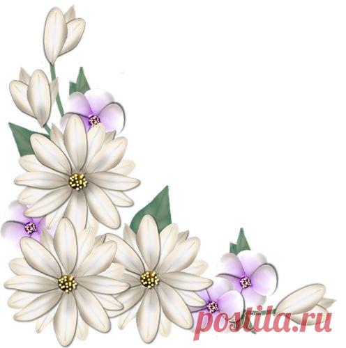 Esquinas florales - Diseño de web