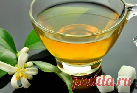 Напитки, которые сохранят молодость - С нами не соскучишься! - медиаплатформа МирТесен Сохранение вечной или хотя бы долгой молодости — этот вопрос волновал человечество с незапамятных времен. В старинных сказках разных народов рассказывают про чудесные молодильные напитки, которые удивительным образом помогают вернуть молодость и здоровье. Но вернемся же из сказочного мира в мир