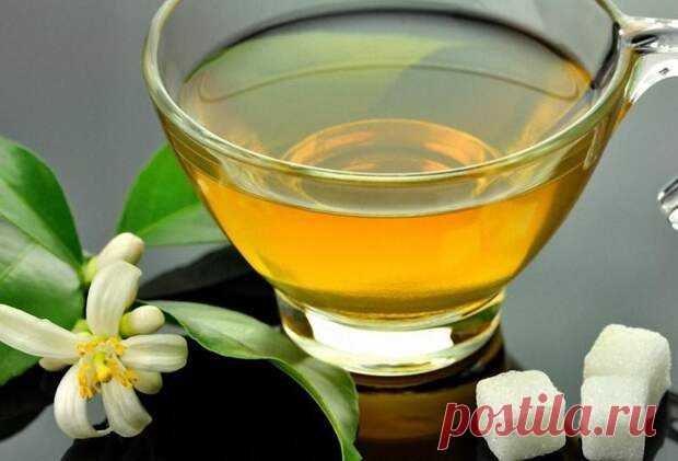 Напитки, которые сохранят молодость - С нами не соскучишься! - медиаплатформа МирТесен Сохранение вечной или хотя бы долгой молодости — этот вопрос волновал человечество с незапамятных времен. В старинных сказках разных народов рассказывают про чудесные молодильные напитки, которые удивительным образом помогают вернуть молодость и здоровье. Но вернемся же из сказочного мира в мир