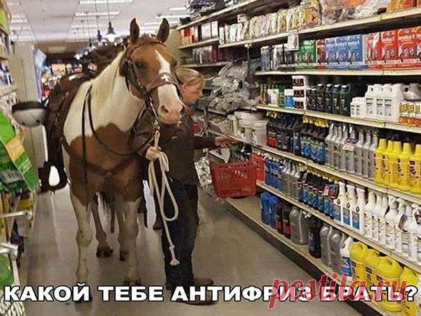 Свое хозяйство всегда с собой