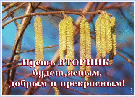 Открытка прекрасного вторника