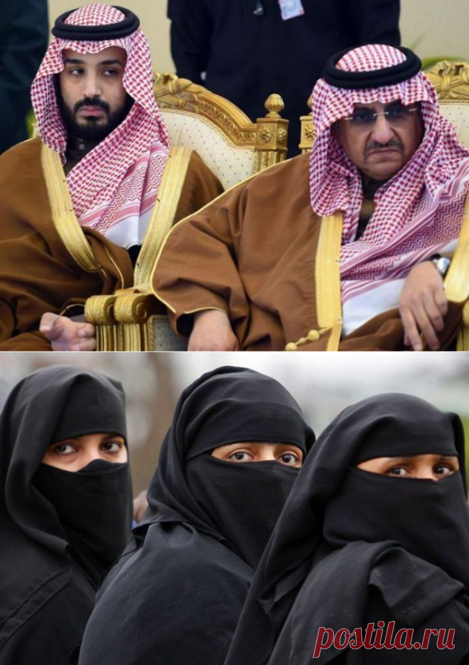 В Саудовской Аравии Женщин Признали Домашними Животными. Как так?