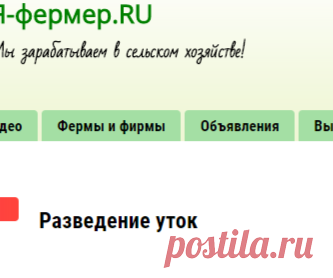 Разведение уток, кормление уток, содержание уток, мускусные утки | Я-фермер.RU