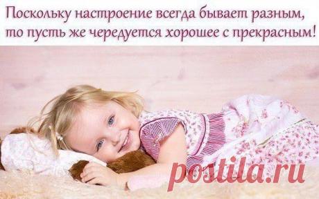 Фотоальбом «Мои фотографии» - Владимир, Санкт-Петербург, 51 год