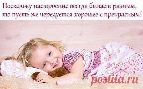 Фотоальбом «Мои фотографии» - Владимир, Санкт-Петербург, 51 год