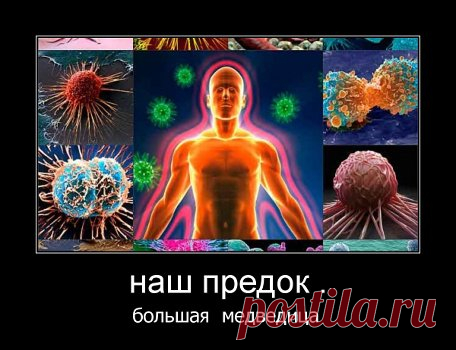 Родионова(Золотарёва)Валентина - 79 тыс. картинок - Поиск Mail.Ru