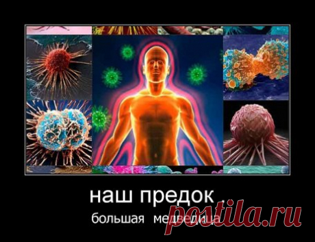 Родионова(Золотарёва)Валентина - 79 тыс. картинок - Поиск Mail.Ru
