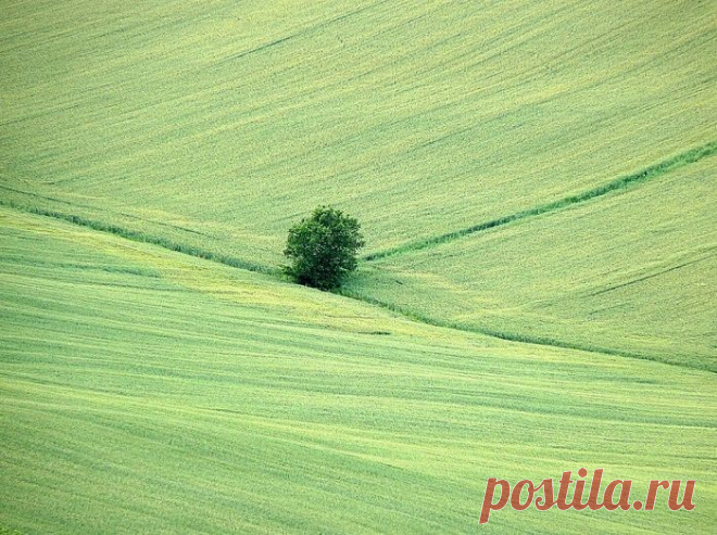 25 минималистичных фотографий для безмятежного созерцания и погружения в себя
