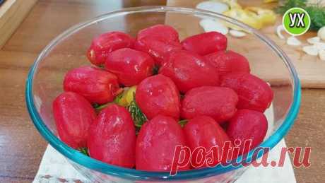 Через сутки в этой миске вкусно всё: и помидоры, и лук с перцем, и маринад (бесподобно вкусно) | УХ ТЫ, КУХНЯ | Дзен