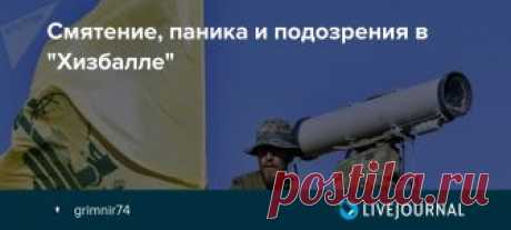 Смятение, паника и подозрения в "Хизбалле" Известный израильский арабист доктор Мордехай Кедар опубликовал статью, посвященную анализу того, что известно об операции Северный Щит и реакции на нее Хизбаллы. Кедар указывает на то, что речь идет об обнаружении наступательного тоннеля, который позволяет переброску…
