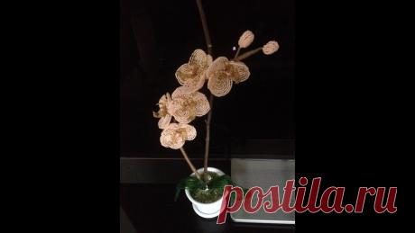 ОРХИДЕЯ ПЕРСИКОВАЯ из БИСЕРА. Tutorial: Beaded ORCHID. Часть 3/3. БИСЕРОПЛЕТЕНИЕ для НАЧИНАЮЩИХ В этой части я показываю как собрать весь цветок и посадить его в горшок Часть 1: https://www.youtube.com/watch?v=gxzeGVnA-78 Часть 2: https://www.youtube.co...