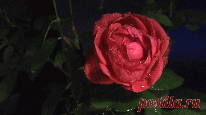 Дождик Gif заготовки для вашего дальнейшего творчества